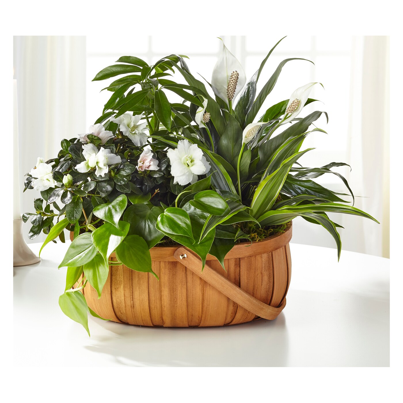 Serene Dishgarden flower arrangement