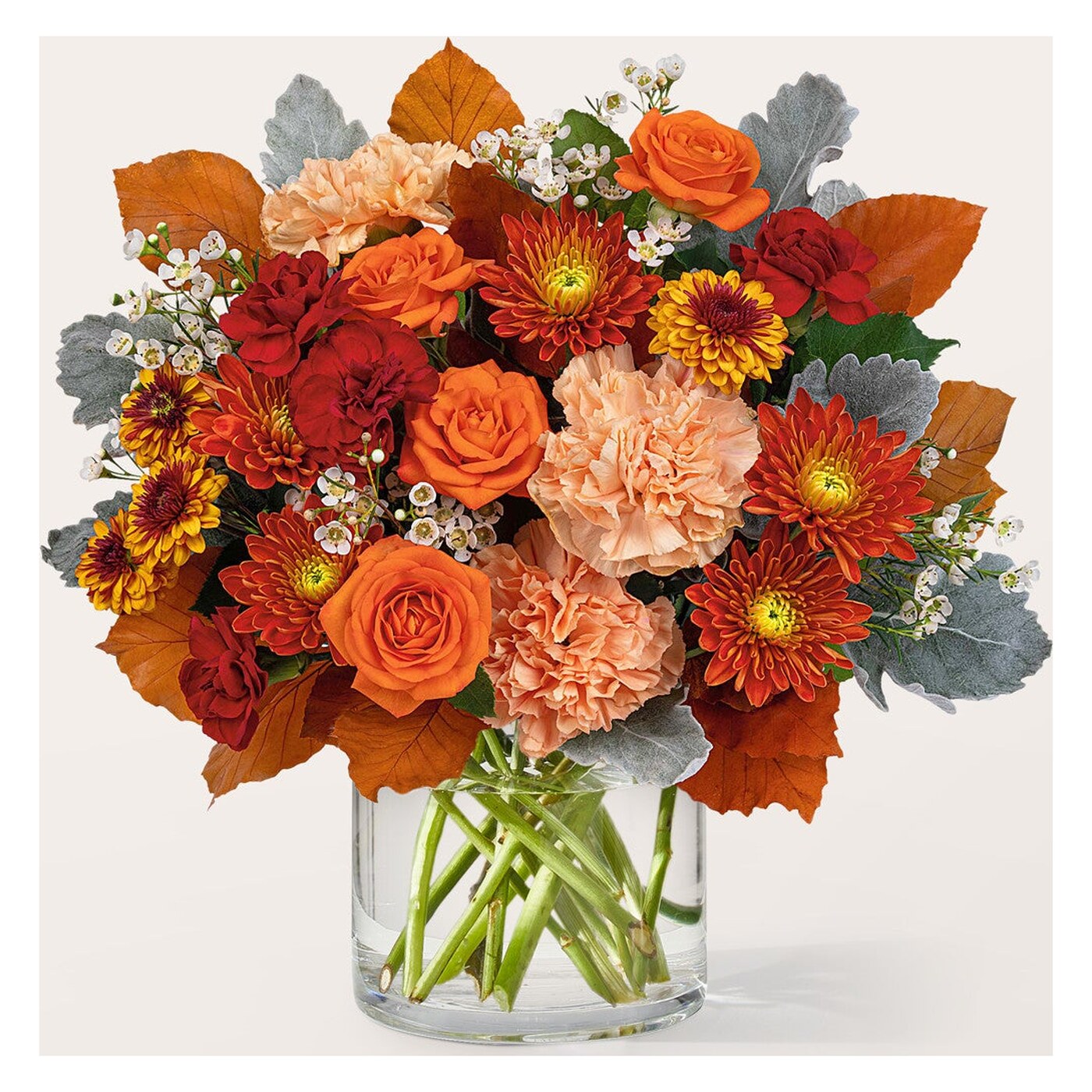 Fresh flowers flower collection